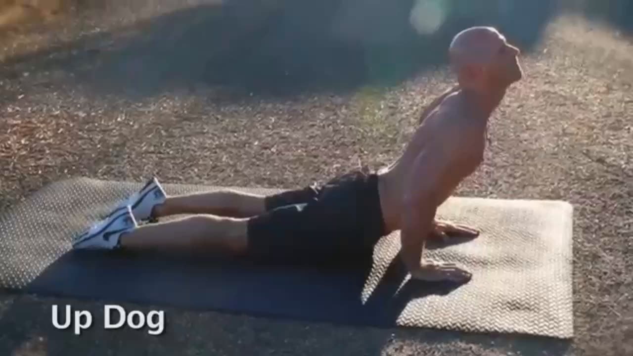 Johnny Sins Dersleri Part 3 Dublaj Mekan Sunar