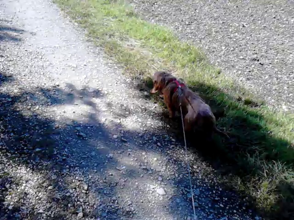 Sandy et Paco en balade