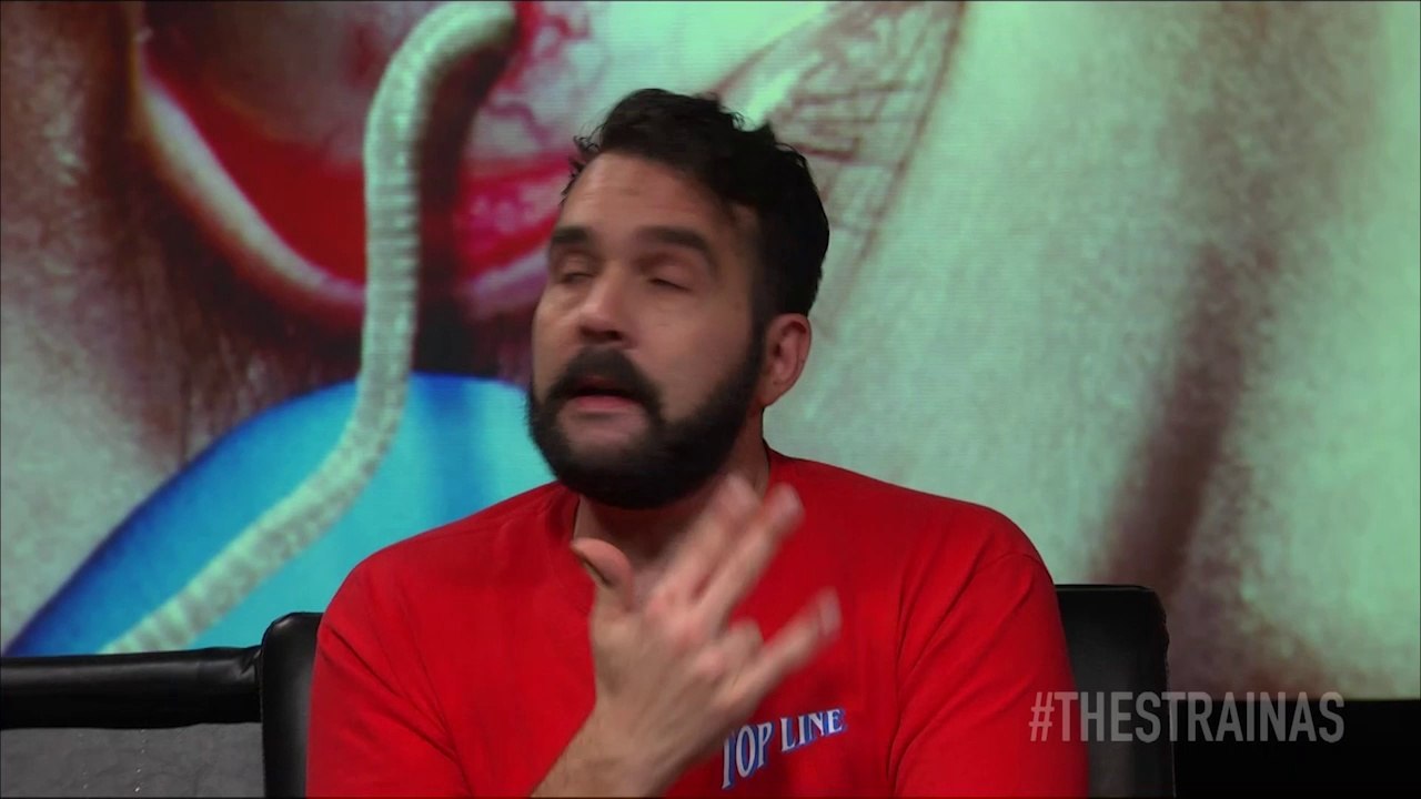 Will The Master take Kelly as his BRIDE?