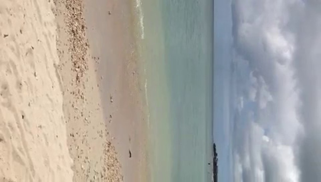 Plage BDT