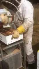 Bunlar Hangi Ana Irkı İle Çalışıyorlar Acaba