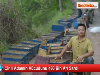 Çinli Adamın Etrafını 460 Bin Arı Sardı