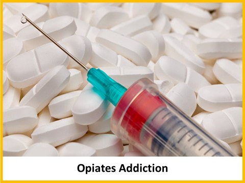 Find Ibogaine Therapy Clinic in Mexico-Rootpassages