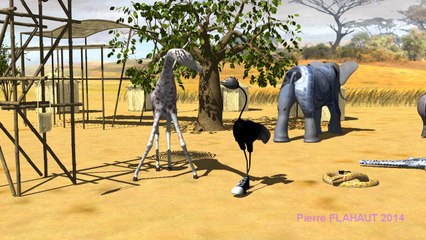 La soirée des conteurs