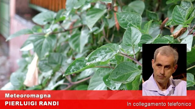 Rimini, meteo: parte l'autunno caldo con pioggia e sole