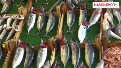 İzmit Karadeniz'de Balık Bolllaştı Fiyatlar Aynı Kaldı