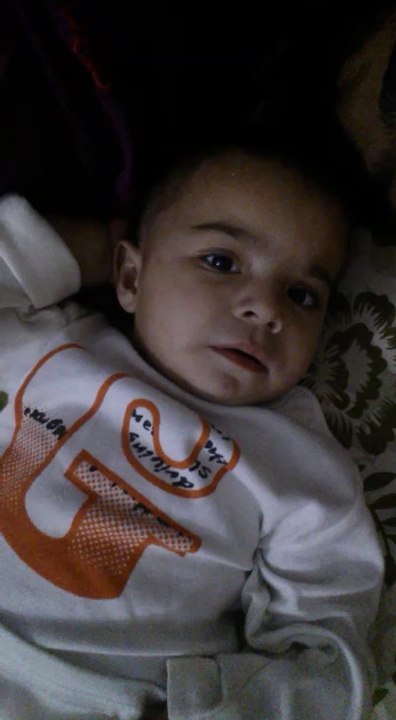 bebo