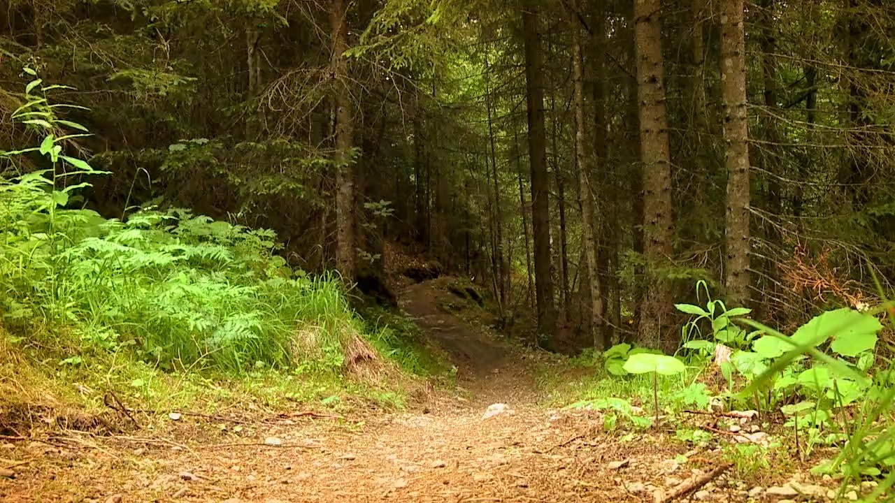 Gotschna Freeride Davos Klosters