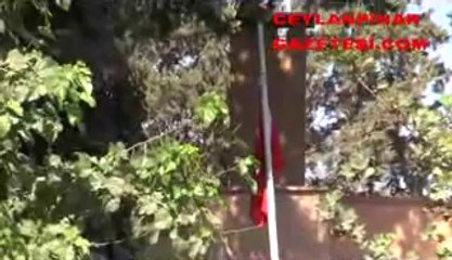 ceylanpınar bayrak ayıbı