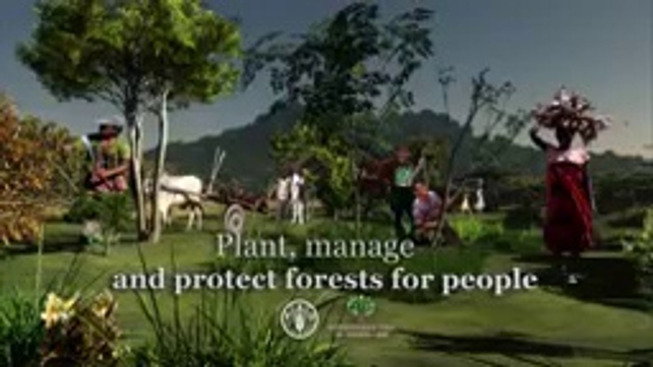 Sanjeev ghai income tax-International Year