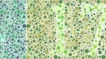 Color Blindness Test They Say - Are you a color BLIND?