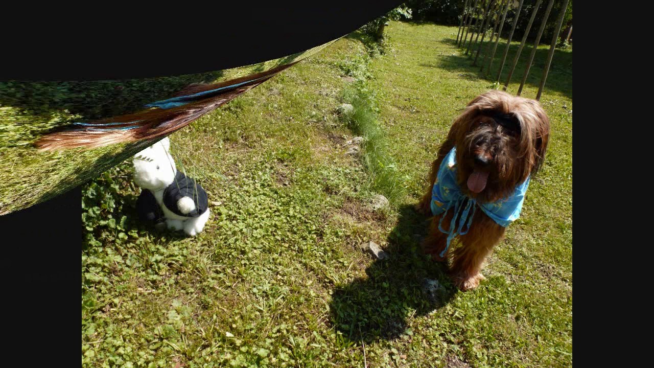 Les histoires de Csali 5 *Csalice au pays des Merveilles*