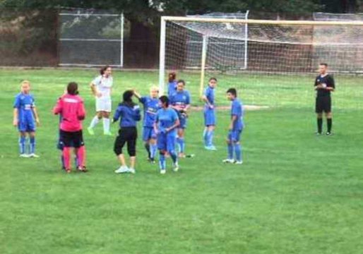 Goalkeeper Attempts to Attack Referee