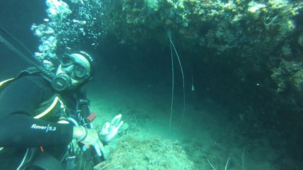 Cabo de Gata, Las Negras 20/09/2014