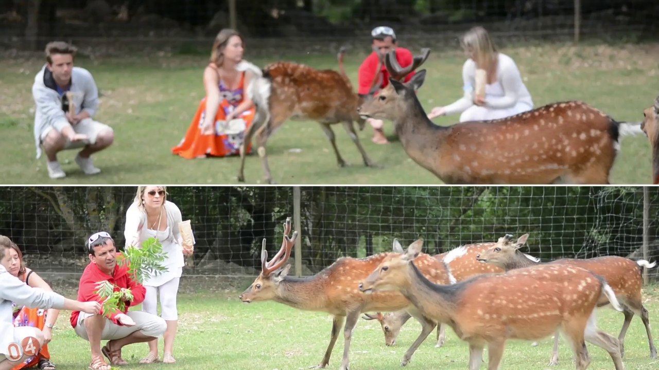 Parc Animalier dans les Alpes de Haute-Provenc