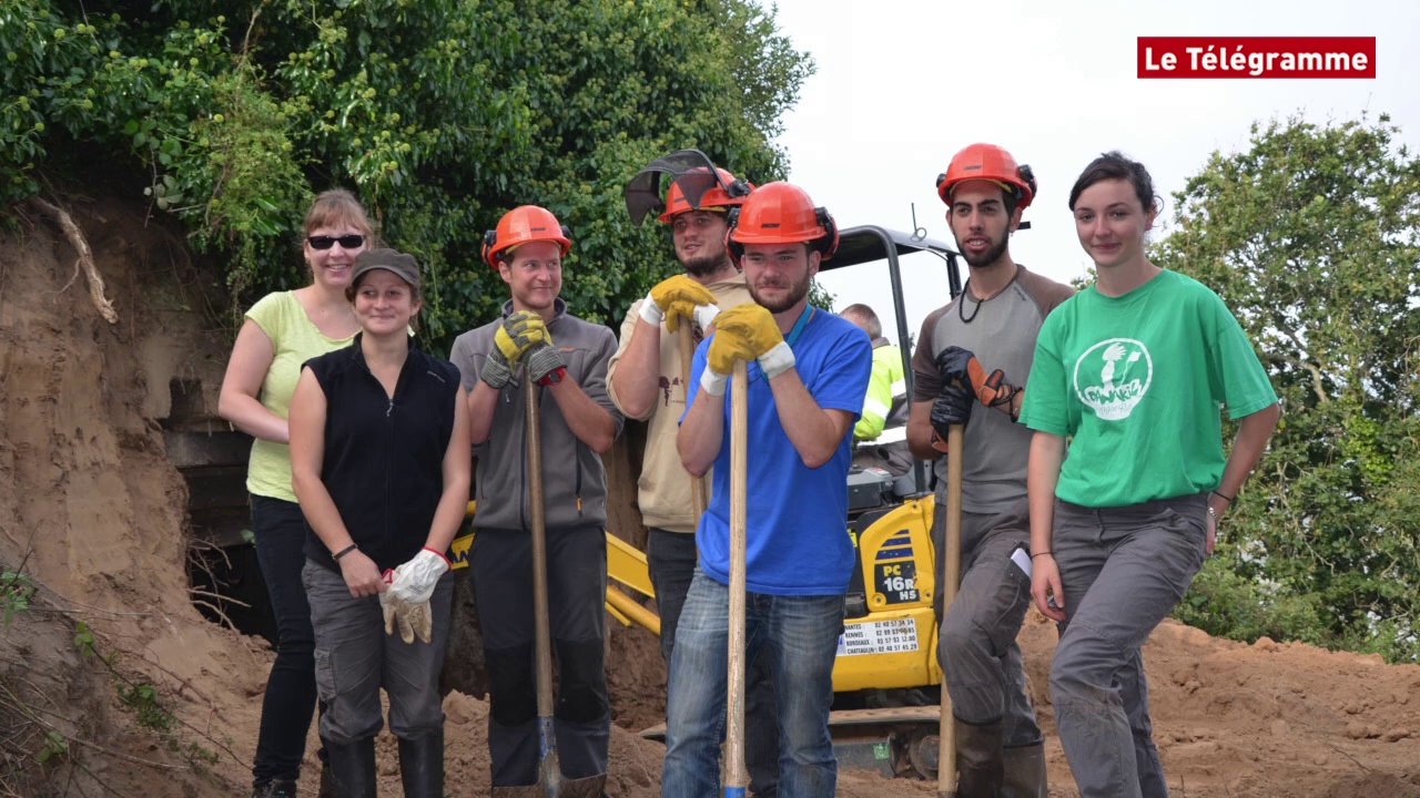 Paimpol. Chauves-souris : un chantier pour les aider à s'abriter