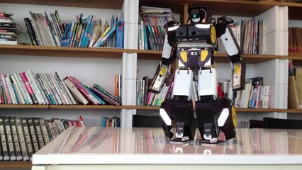 Brave Robotics 1_12 scale Transform Robot Version7.2