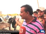 Dunya News - Gullu Butt, Pomi Butt, Bholu no 1 hit at Lahore's market selling sacrificial animals