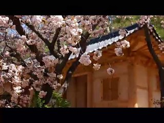 きもいおじさんの雑談　2012 05 08　0：48