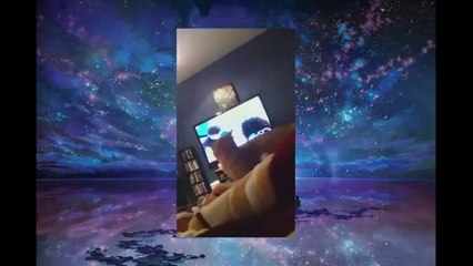 Funny Cats Video - Funny Cat Videos Ever- Funny Videos 2014 - Funny Animals Funny Animal Videos(1)