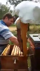 Arı Kovan Kontrolleri