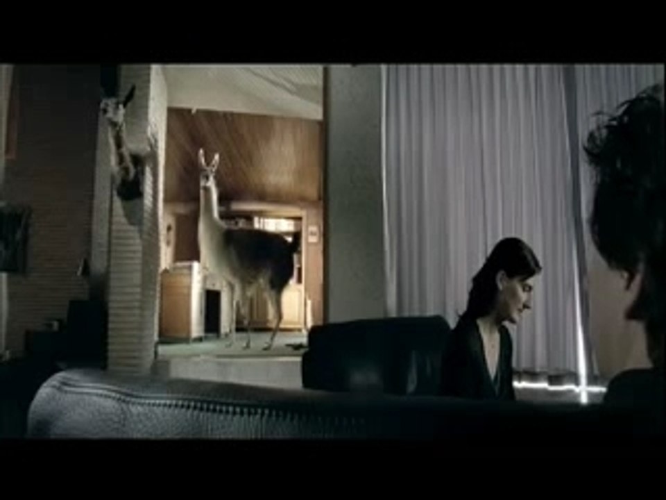 Hebbes 57"NL agencyversie