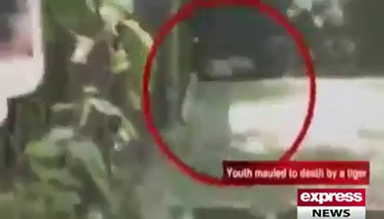 Loin attacked on the school boy in Indian Zoo watch video.