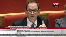 Audition des représentants des villes moyennes suivis de l'audition de Michel Destot