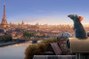 Bande-annonce : Découvrez la dernière bande-annonce de Ratatouille