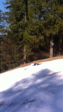 Sortie ski mars 2014