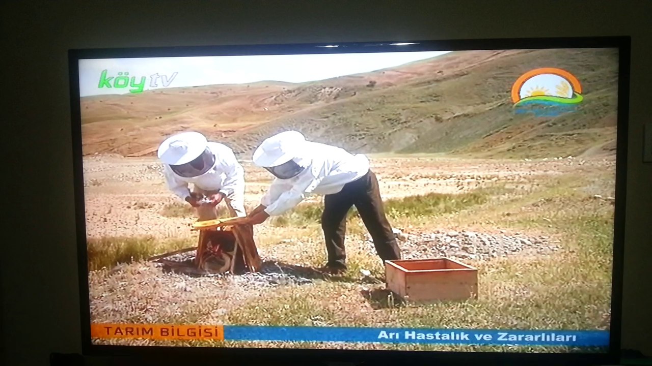Arı Hastalıkları ve Zararlıları