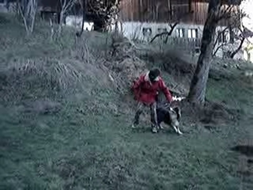 Dragon exercice N°2