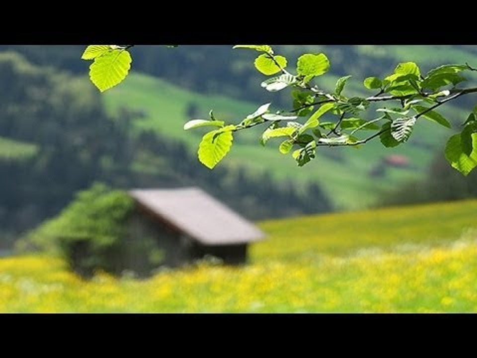 Trend: Wandern in Deutschland