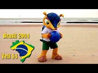 WM 2014: Das neue Maskottchen heißt Armadillo