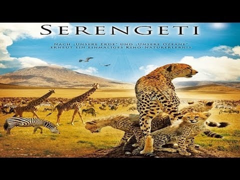 Afrika zum Verlieben (Blu-ray-Filmtipp: Serengeti)