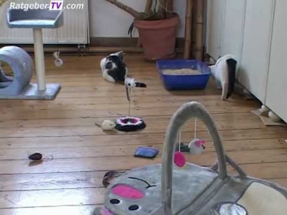 Tiernahrung, Hygiene und Pflege für das Tier
