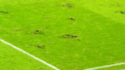 23/09/14 : SRFC-TFC : état de la pelouse