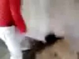 Punjabi boy slapped while dancing