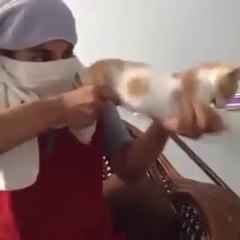 cute cat used as shot gun