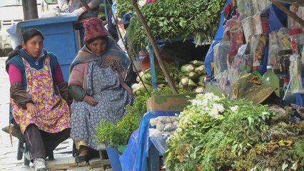 Inside The Americas - Traditional Medicine in Bolivia