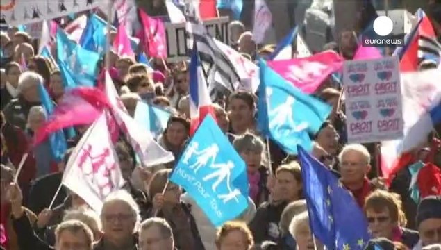 Французский суд признал за лесбийскими парами материнские права