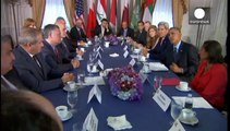 Siria: il Pentagono definisce un successo i raid contro l'Isis
