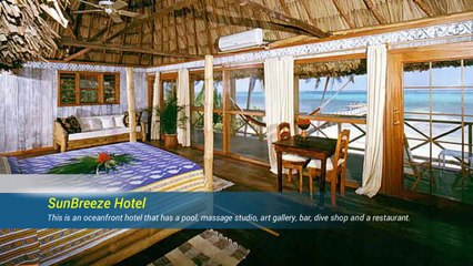 A Traveler's Guide to Everything in Ambergris Caye Belize