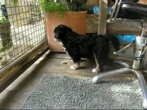 23 sept bébé jaune et bébé rose avec leur maman