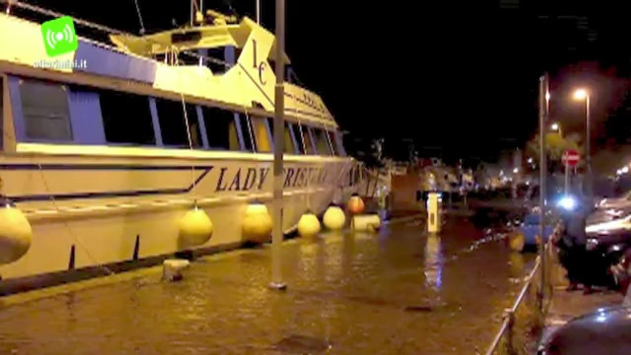 Altre immagini maltempo a Rimini  30 alberi caduti, molti finiti sulle auto in sosta