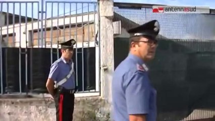 TG 23.09.14 Droga, prendono complice per darlo in pasto ai maiali