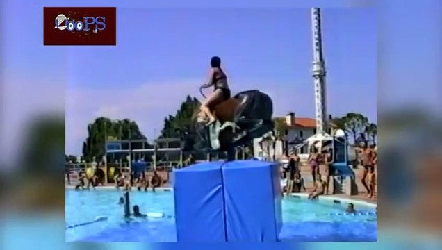 Funny Fails Compilation Videos 2014 Bikini Women _ Best Wipeouts , Fails, Falls and Much More