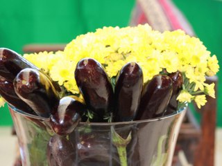 Yerel Tohum Derneği