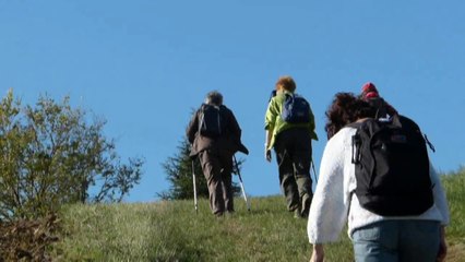 Cachette et rainette