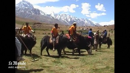 Pakistan : à la découverte du polo à dos de yak